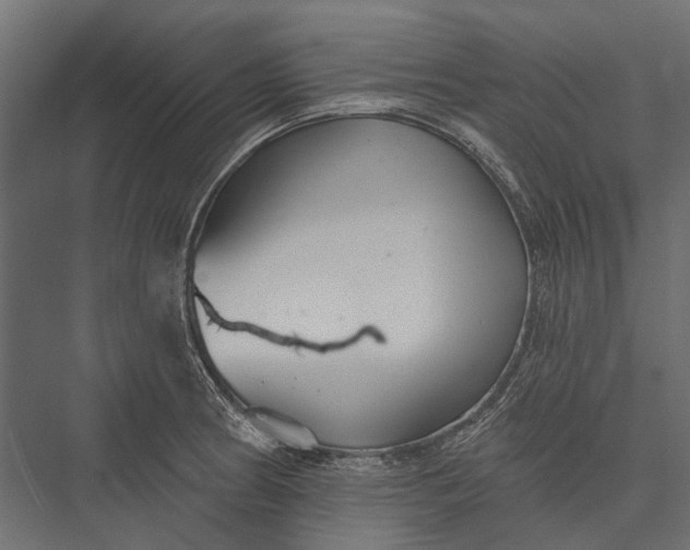 X0000076061186200610061528