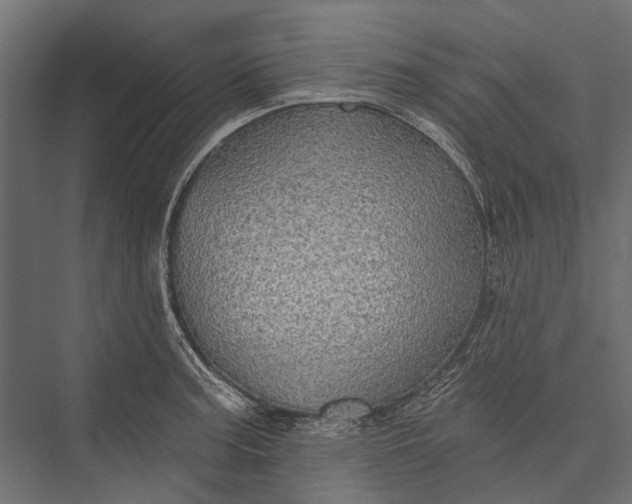 X0000076061187200610061528