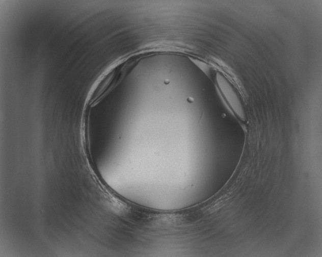 X0000076061188200610061528