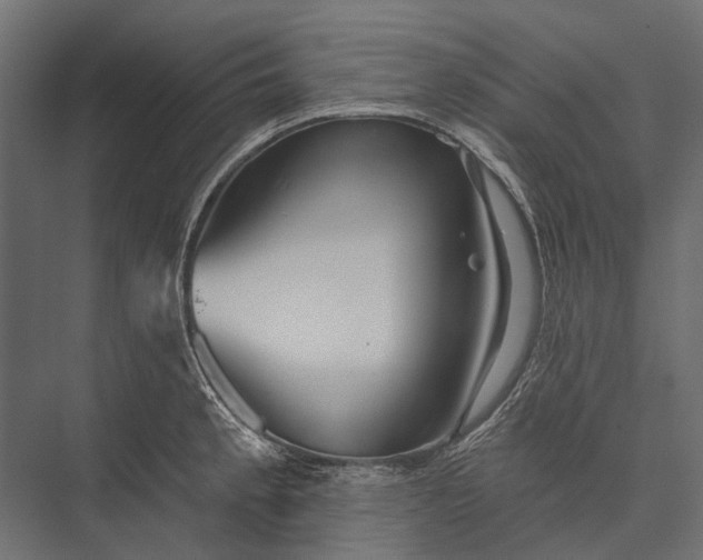 X0000076061189200610061528