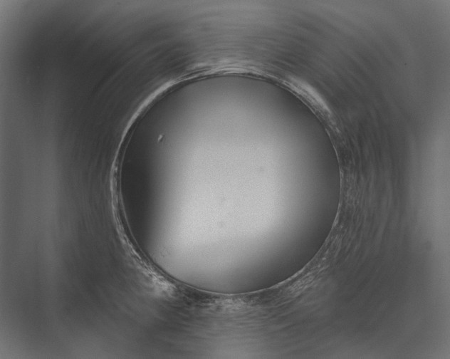 X0000076061190200610061528