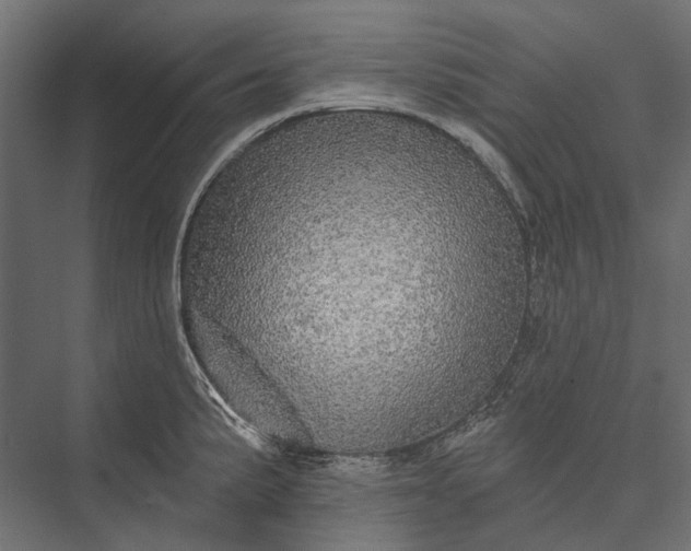 X0000076061191200610061528