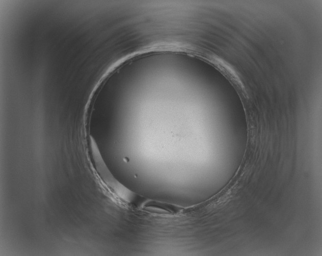 X0000076061192200610061528