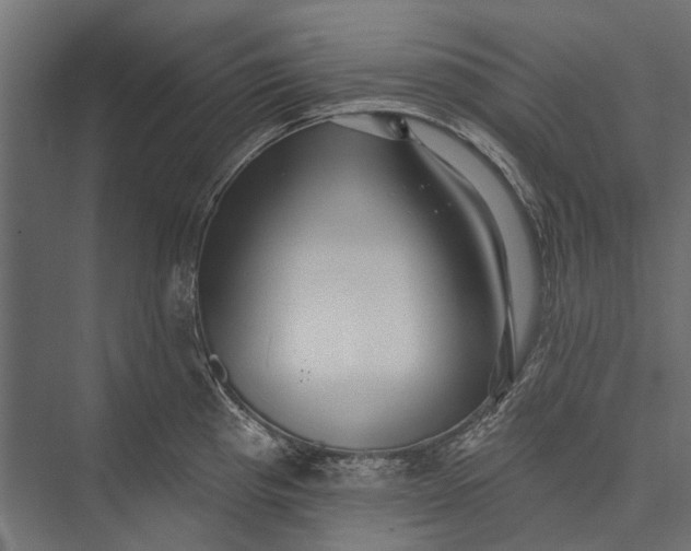 X0000076061193200610061528