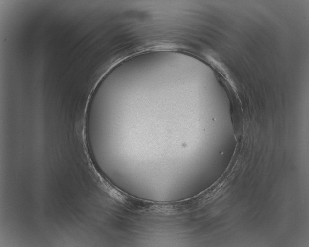 X0000076061194200610061528