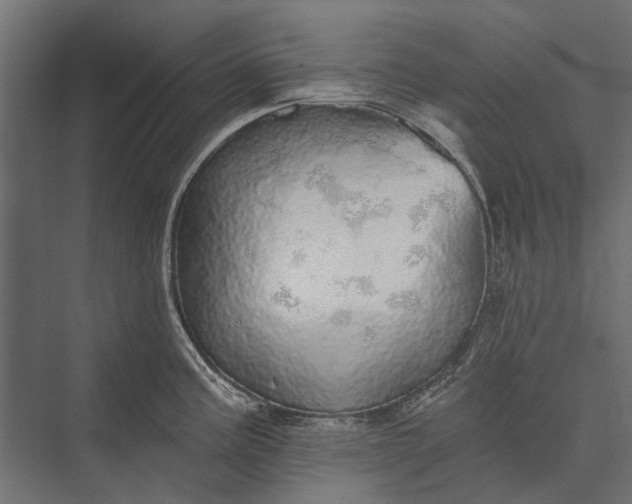 X0000076061195200610061528