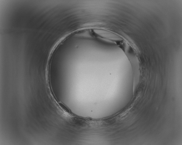 X0000076061196200610061528