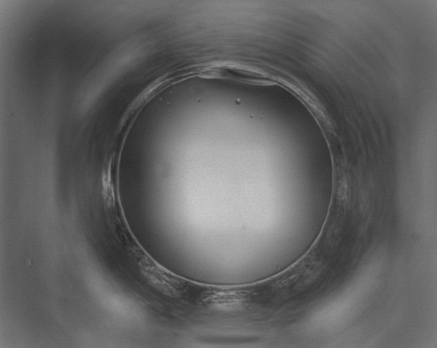 X0000076061198200610061528