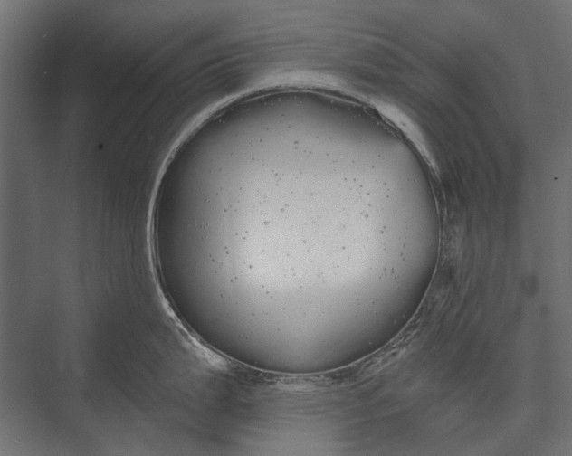 X0000076061199200610061528