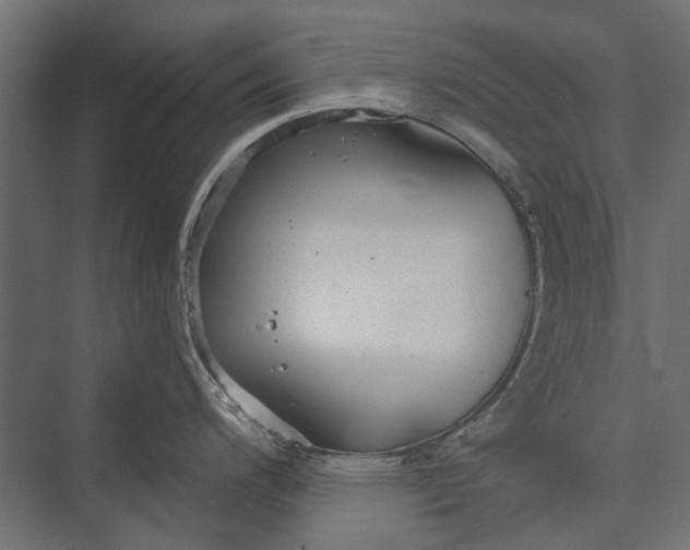 X0000076061200200610061528