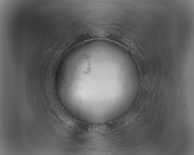 X0000076061201200610061527