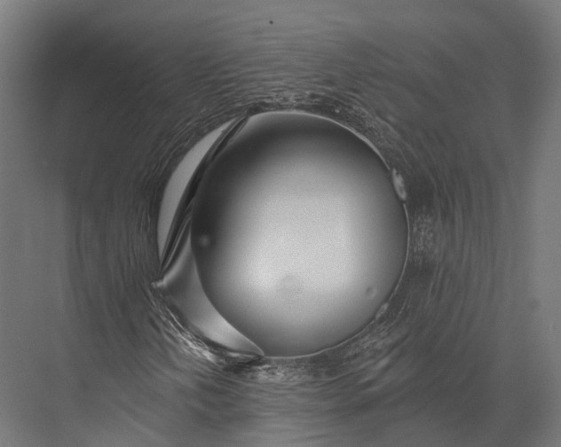 X0000076061202200610061527