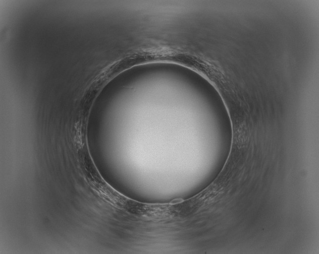 X0000076061205200610061527