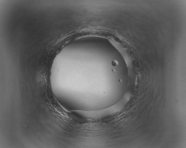 X0000076061206200610061527