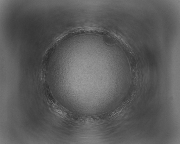 X0000076061207200610061527