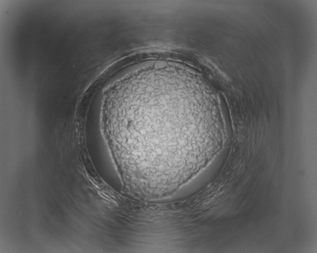 X0000076061208200610061527