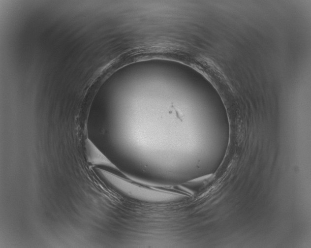 X0000076061210200610061527