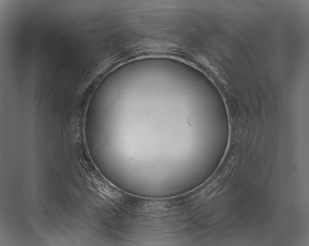 X0000076061211200610061527