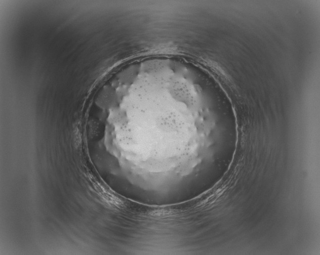 X0000076061212200610061527