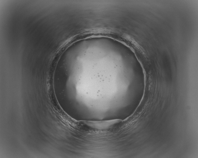 X0000076061213200610061527