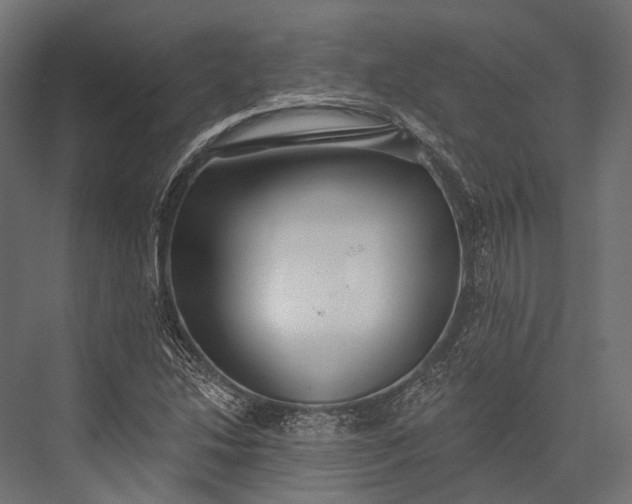 X0000076061214200610061527