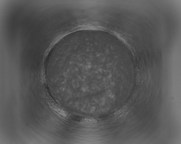 X0000076061215200610061527