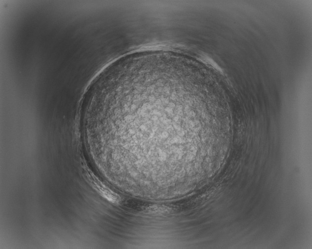 X0000076061216200610061527