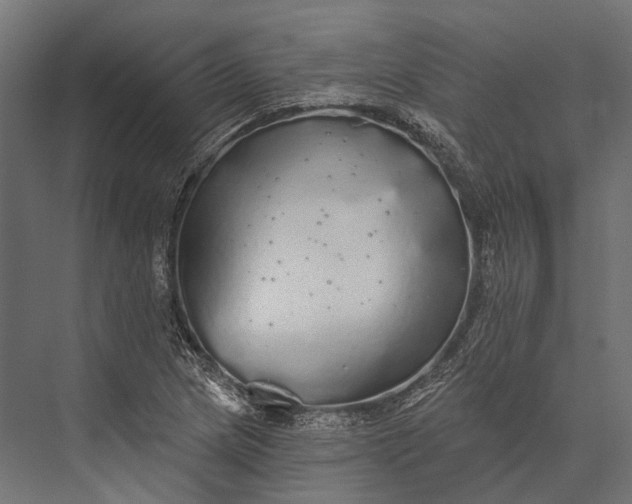 X0000076061217200610061527