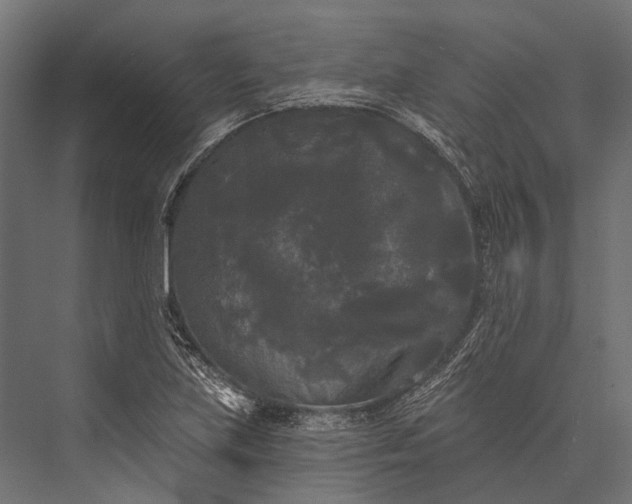 X0000076061219200610061527