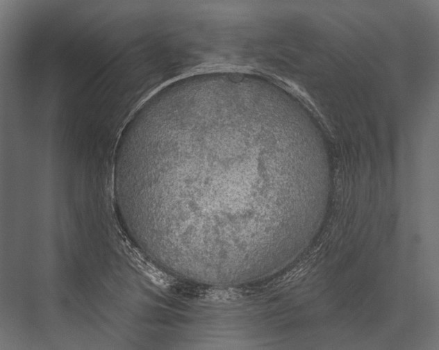 X0000076061220200610061527