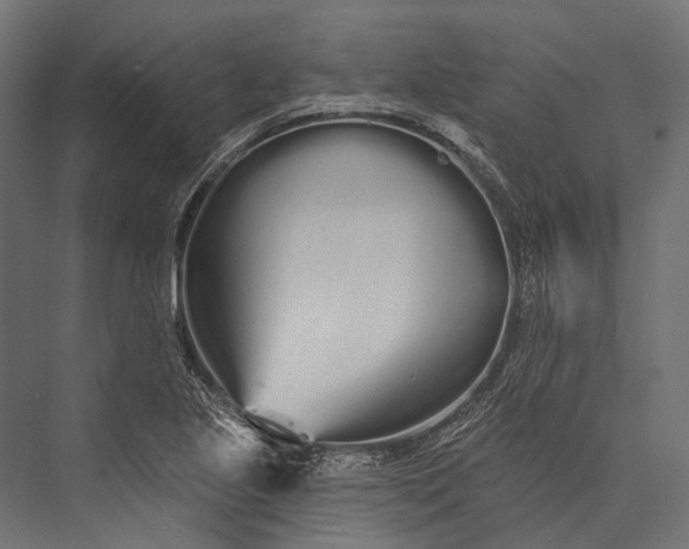 X0000076061221200610061527