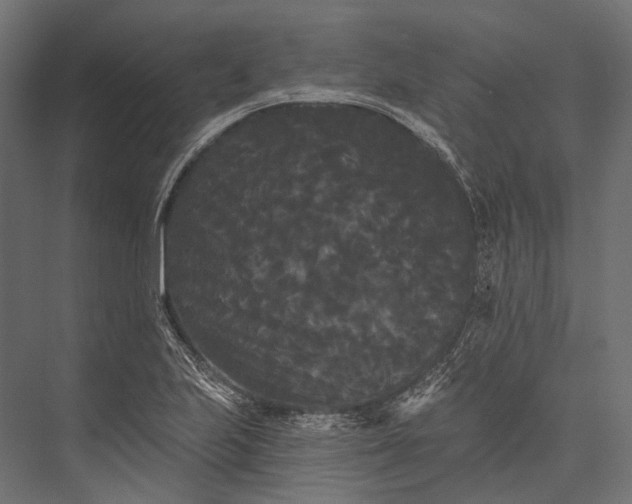 X0000076061223200610061527