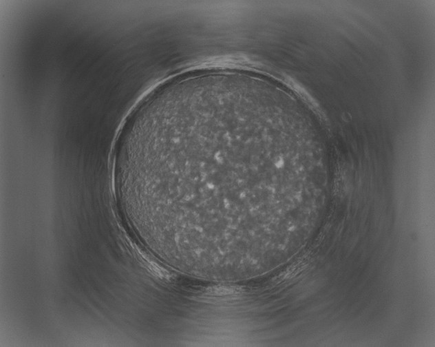 X0000076061224200610061527