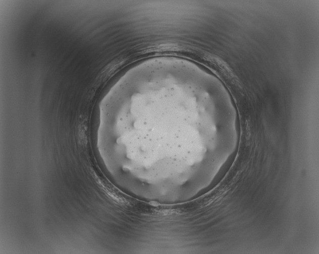 X0000076061225200610061527