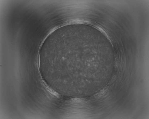 X0000076061227200610061527