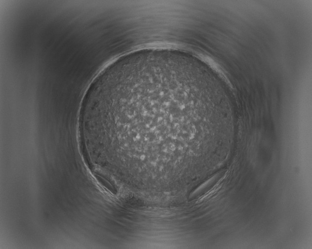 X0000076061229200610061528