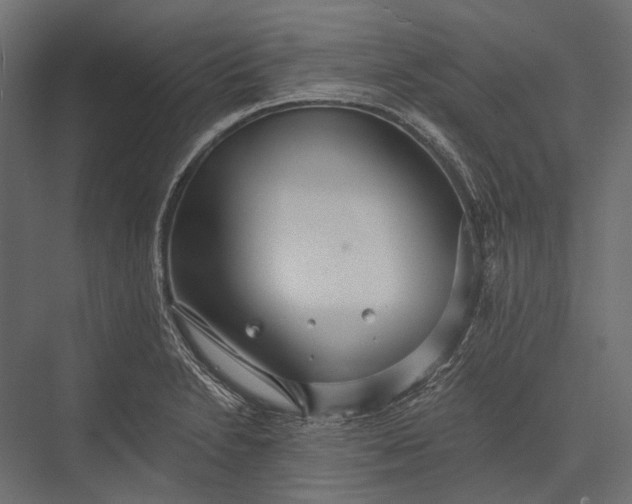 X0000076061230200610061528