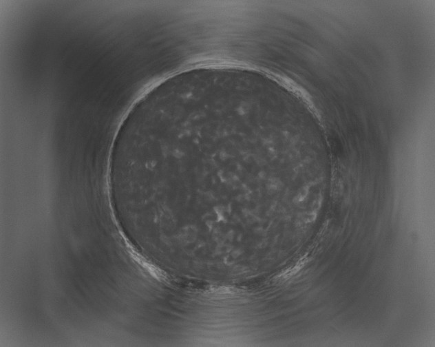 X0000076061231200610061528