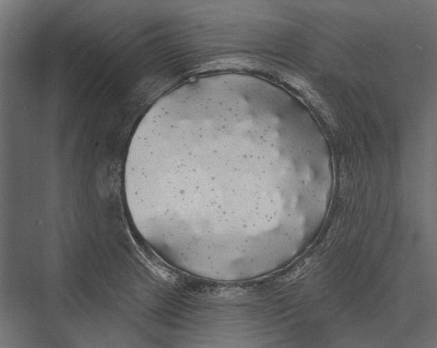 X0000076061233200610061528