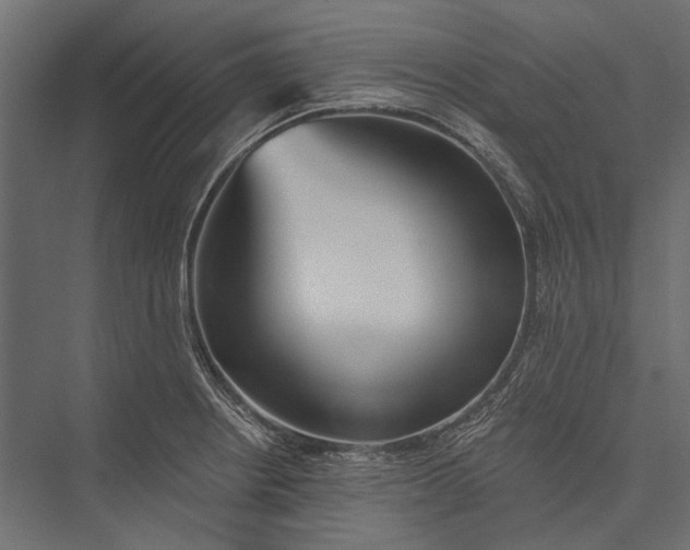 X0000076061234200610061528