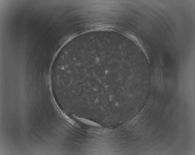 X0000076061235200610061528