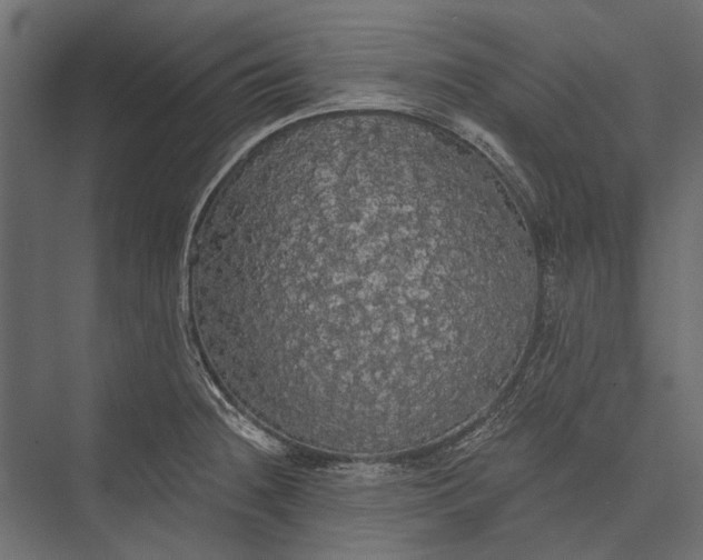 X0000076061236200610061528