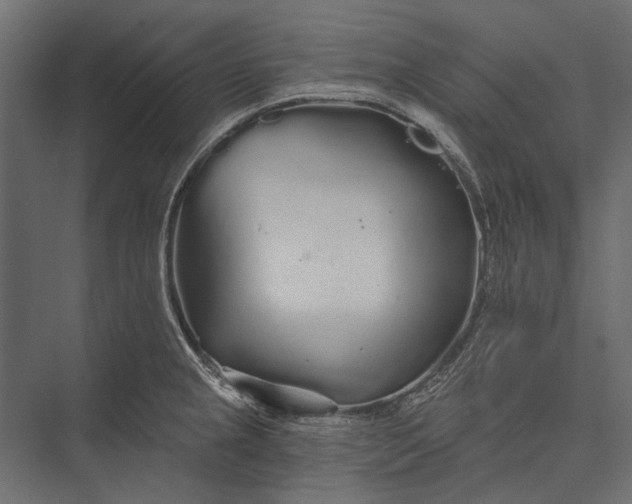 X0000076061237200610061528