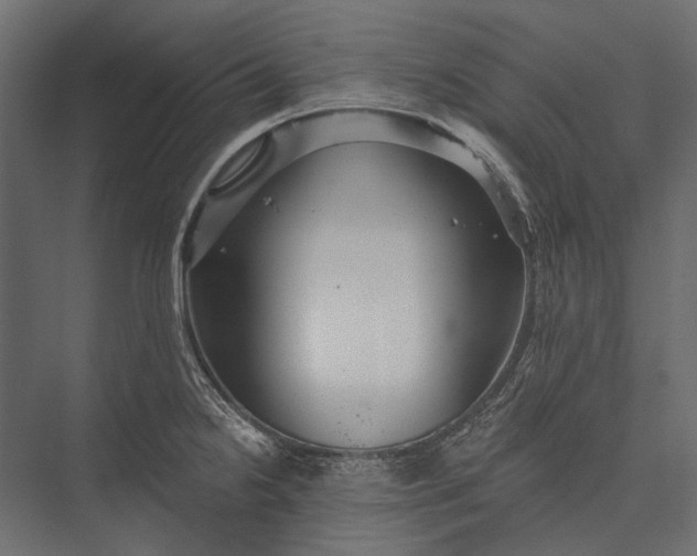 X0000076061238200610061528