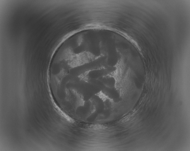 X0000076061239200610061528