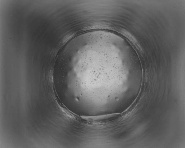 X0000076061241200610061528