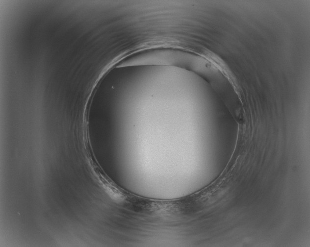 X0000076061242200610061528