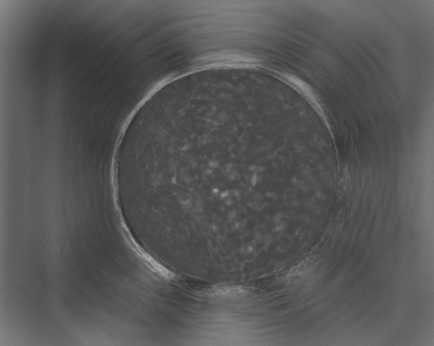 X0000076061243200610061528