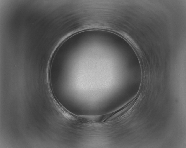 X0000076061246200610061528