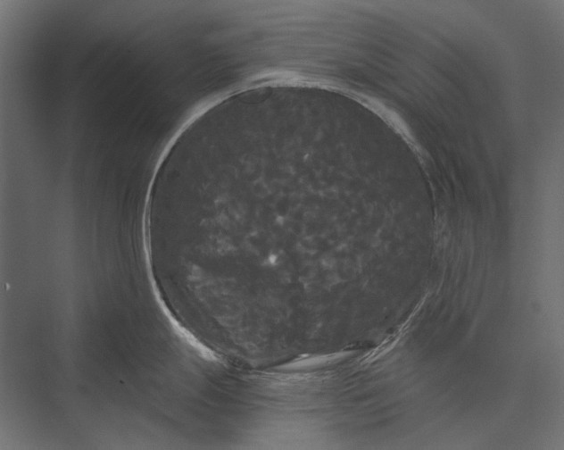 X0000076061247200610061528